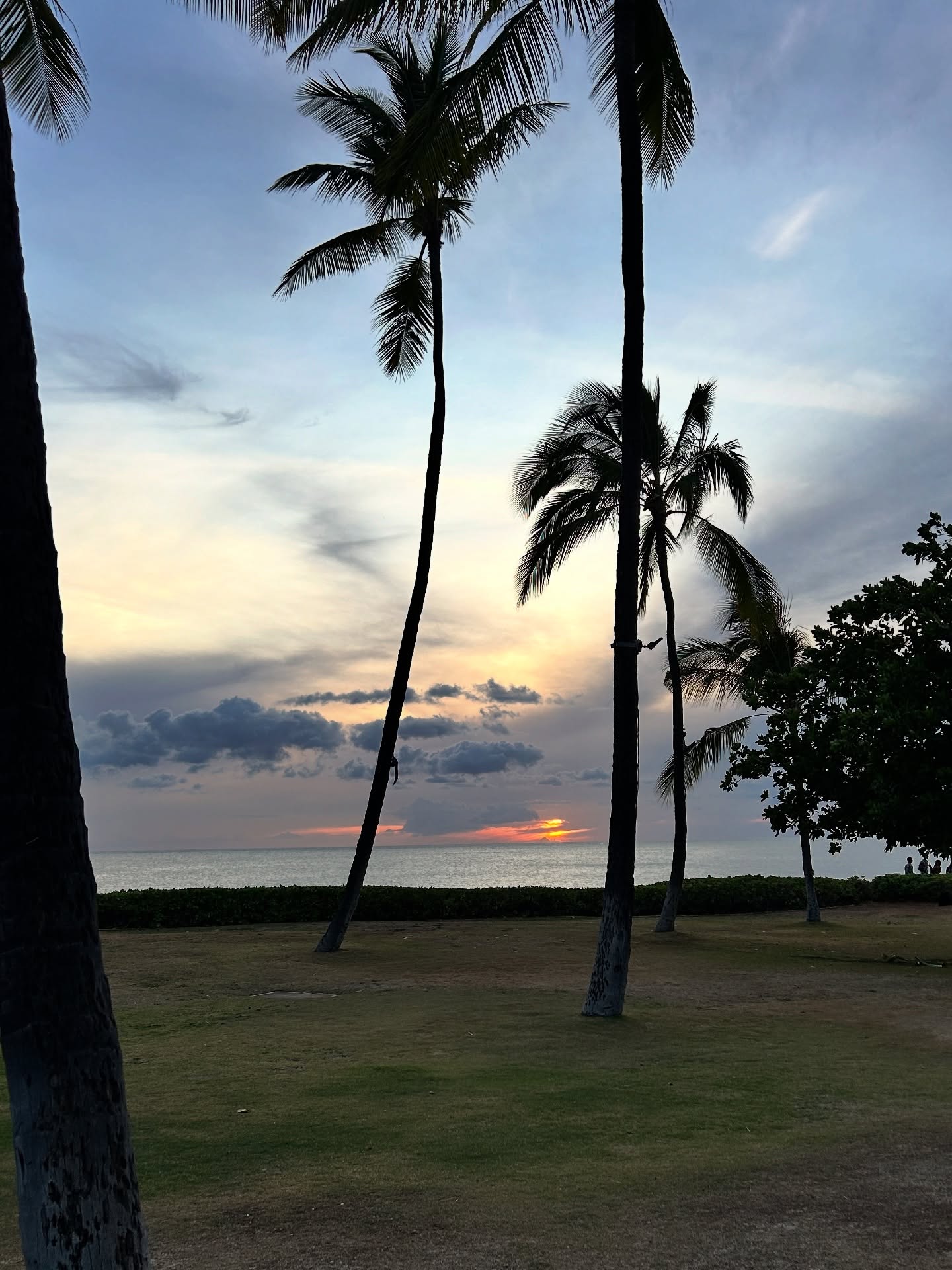This trip. 

Home away from home. Family time. Sunshine for the soul. 

See you again Hawai’i.