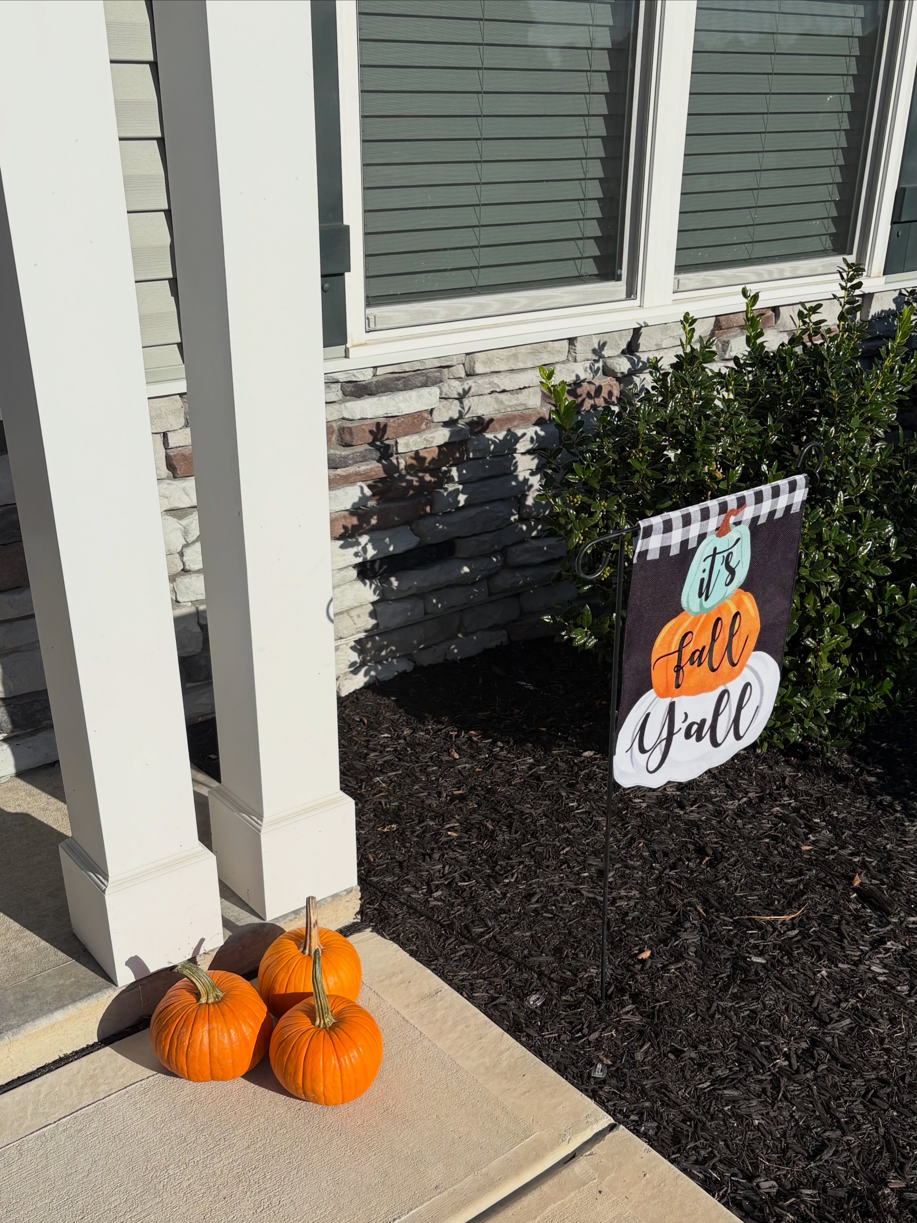 Windy + chilly + sunny = perfect weather for the pumpkin patch. 🌻🚜🌾🫏🎃